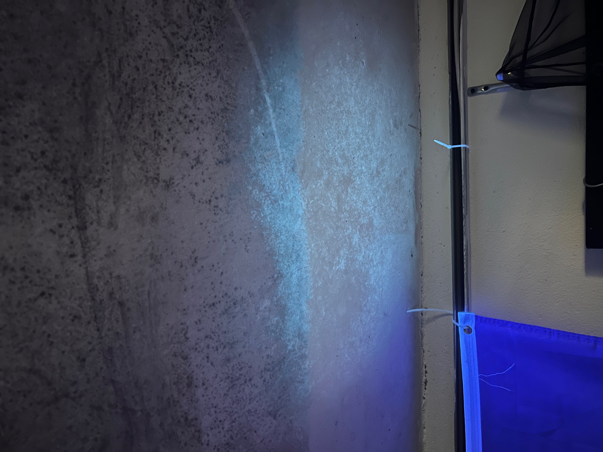 Feuchteschäden erkennen