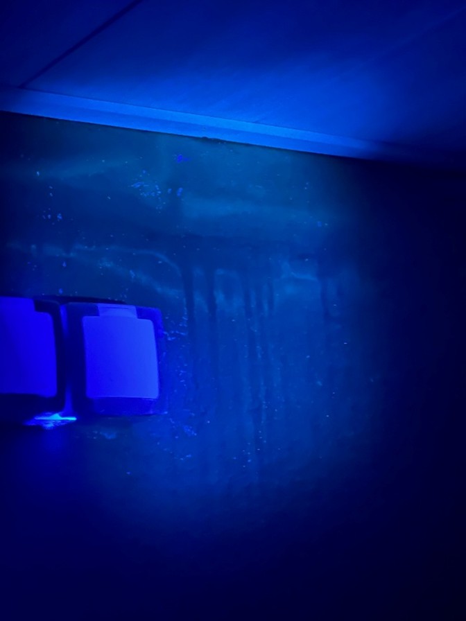 Gleiche Wand unter UV-Licht – massiver Wasserschaden fluoresziert deutlich sichtbar